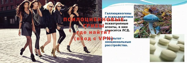 дмт Мегион