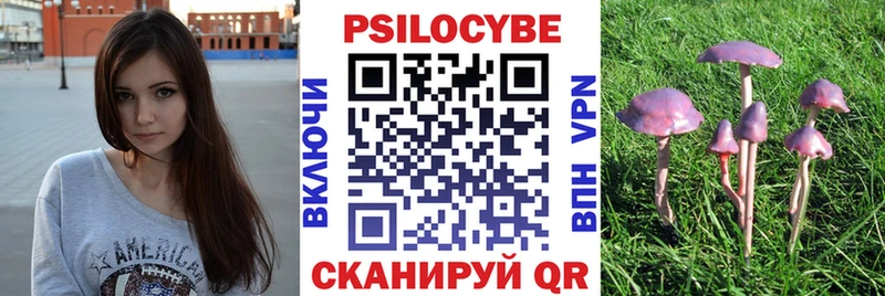 Купить где  Анжеро-Судженск  Галлюциногенные грибы ЛСД 